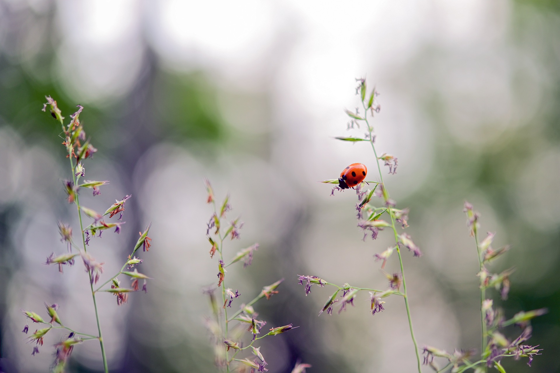 Banner Unsere Verantwortung gegenüber der Natur